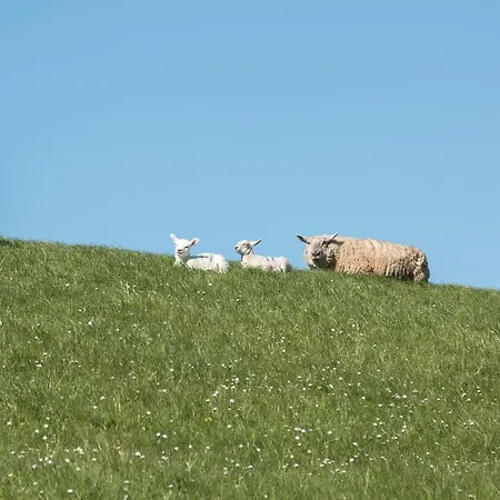 Ferienwohnungen Uns To Hus